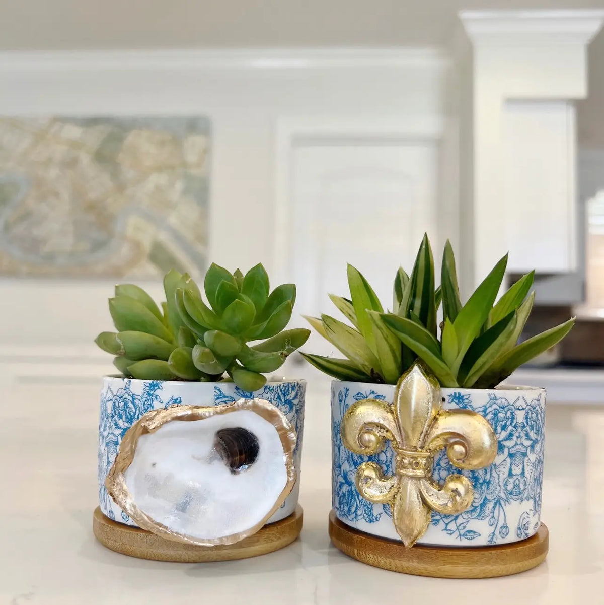 Succulent Pot